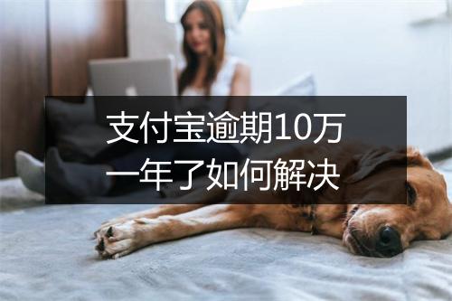 支付宝逾期10万一年了如何解决