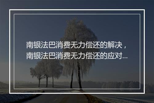 南银法巴消费无力偿还的解决 ,南银法巴消费无力偿还的应对措施