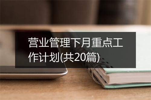 营业管理下月重点工作计划(共20篇)