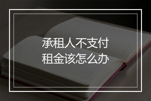 承租人不支付租金该怎么办