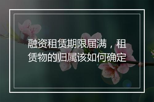 融资租赁期限届满，租赁物的归属该如何确定
