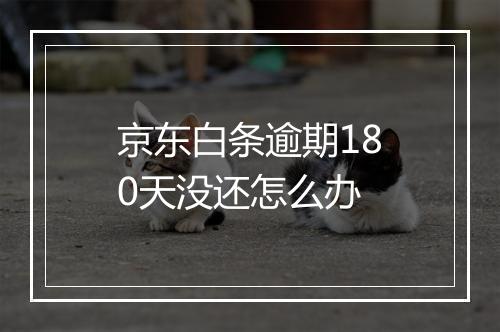 京东白条逾期180天没还怎么办