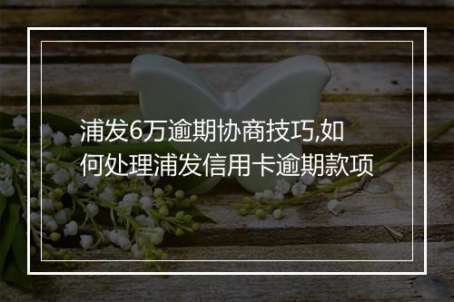 浦发6万逾期协商技巧,如何处理浦发信用卡逾期款项