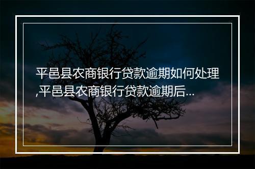 平邑县农商银行贷款逾期如何处理,平邑县农商银行贷款逾期后果