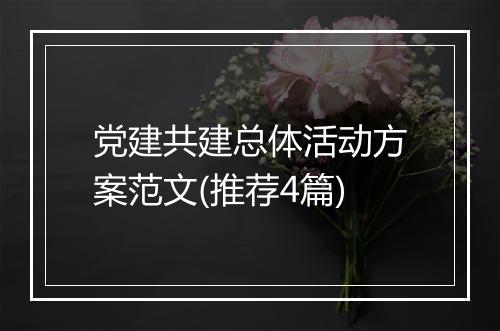 党建共建总体活动方案范文(推荐4篇)