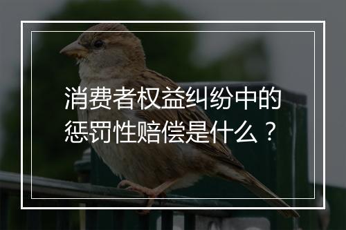 消费者权益纠纷中的惩罚性赔偿是什么？