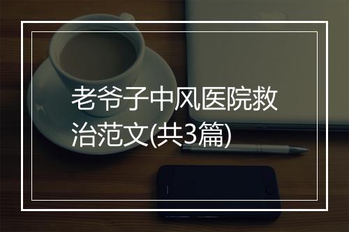 老爷子中风医院救治范文(共3篇)