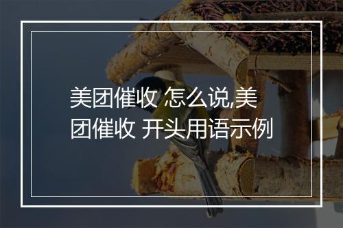 美团催收 怎么说,美团催收 开头用语示例