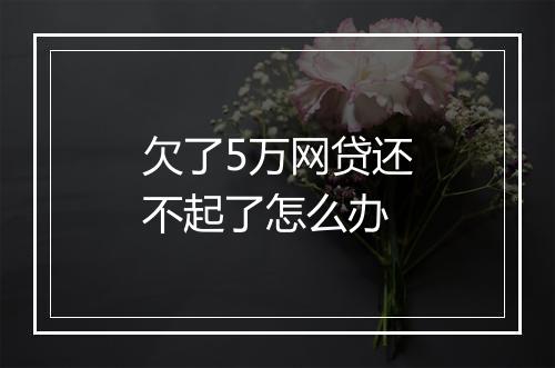 欠了5万网贷还不起了怎么办