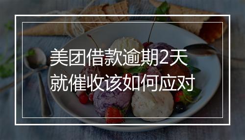 美团借款逾期2天就催收该如何应对