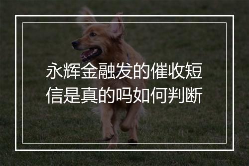 永辉金融发的催收短信是真的吗如何判断