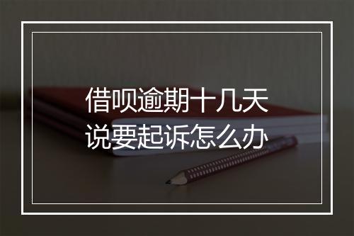 借呗逾期十几天说要起诉怎么办