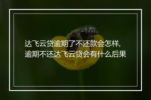 达飞云贷逾期了不还款会怎样,逾期不还达飞云贷会有什么后果