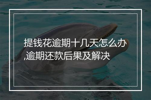 提钱花逾期十几天怎么办,逾期还款后果及解决