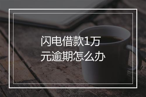 闪电借款1万元逾期怎么办