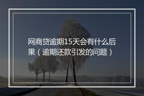 网商贷逾期15天会有什么后果（逾期还款引发的问题）