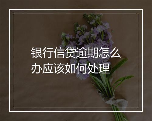 银行信贷逾期怎么办应该如何处理