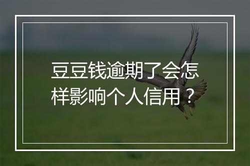 豆豆钱逾期了会怎样影响个人信用？