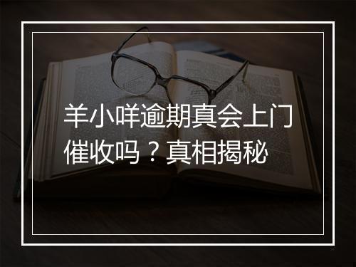 羊小咩逾期真会上门催收吗？真相揭秘