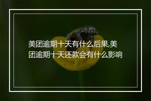 美团逾期十天有什么后果,美团逾期十天还款会有什么影响