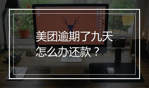 美团逾期了九天怎么办还款？