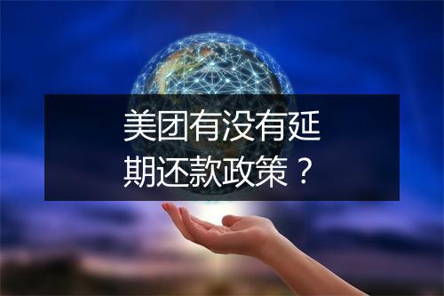 美团有没有延期还款政策？