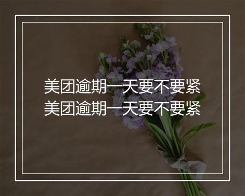 美团逾期一天要不要紧美团逾期一天要不要紧