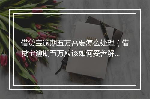 借贷宝逾期五万需要怎么处理（借贷宝逾期五万应该如何妥善解决）