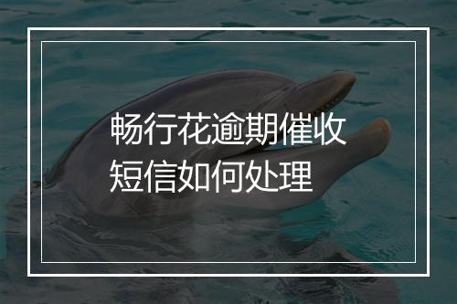 畅行花逾期催收短信如何处理