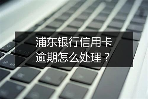 浦东银行信用卡逾期怎么处理？