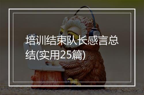 培训结束队长感言总结(实用25篇)