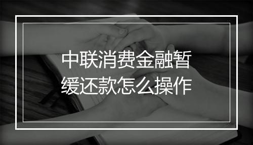 中联消费金融暂缓还款怎么操作