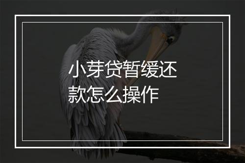 小芽贷暂缓还款怎么操作