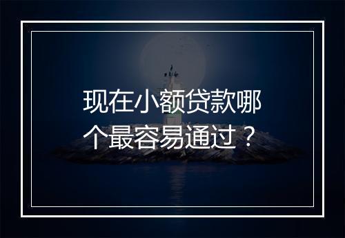 现在小额贷款哪个最容易通过？