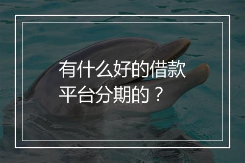 有什么好的借款平台分期的？