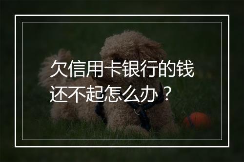 欠信用卡银行的钱还不起怎么办？
