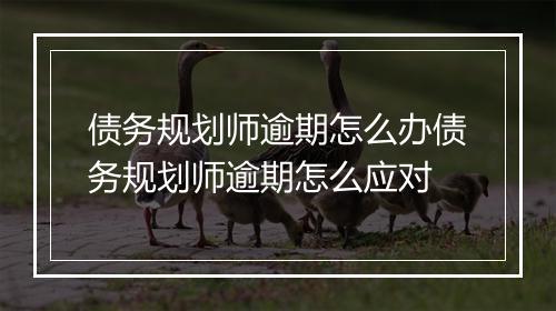 债务规划师逾期怎么办债务规划师逾期怎么应对