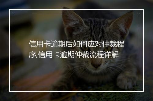 信用卡逾期后如何应对仲裁程序,信用卡逾期仲裁流程详解