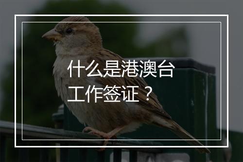 什么是港澳台工作签证？