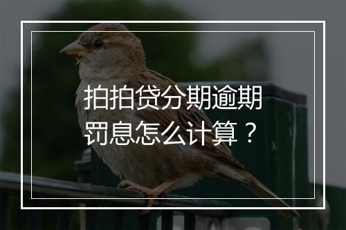 拍拍贷分期逾期罚息怎么计算？