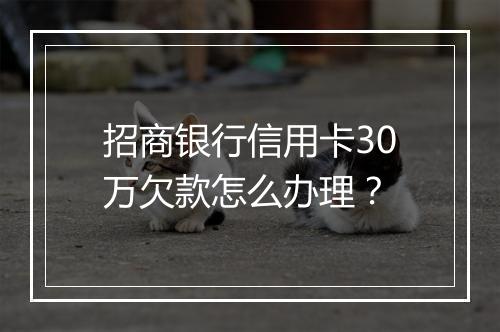 招商银行信用卡30万欠款怎么办理？