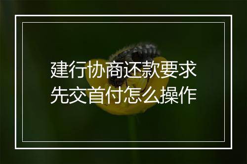 建行协商还款要求先交首付怎么操作