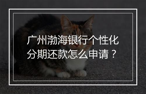广州渤海银行个性化分期还款怎么申请？