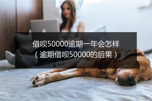 借呗50000逾期一年会怎样（逾期借呗50000的后果）