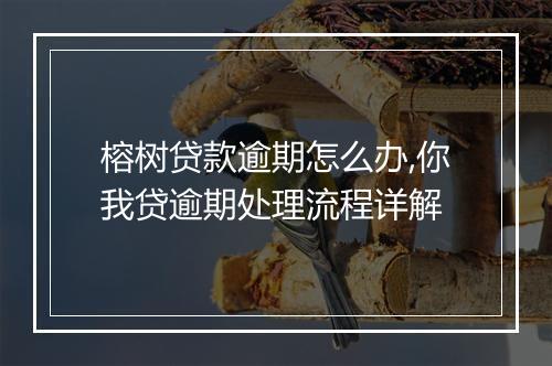 榕树贷款逾期怎么办,你我贷逾期处理流程详解