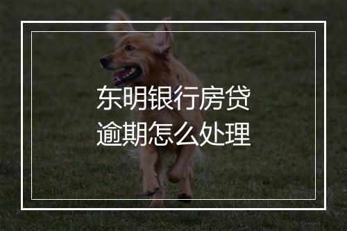 东明银行房贷逾期怎么处理