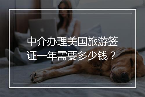 中介办理美国旅游签证一年需要多少钱？