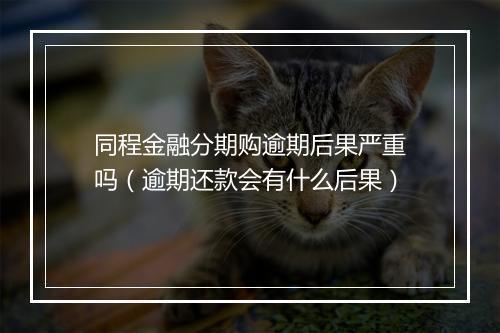 同程金融分期购逾期后果严重吗（逾期还款会有什么后果）