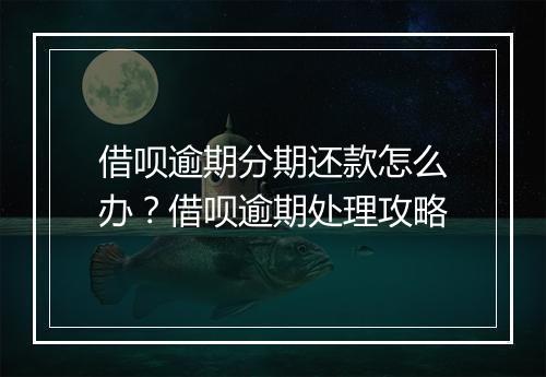 借呗逾期分期还款怎么办？借呗逾期处理攻略