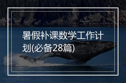 暑假补课数学工作计划(必备28篇)